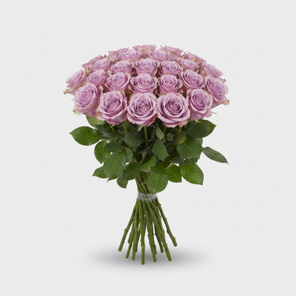FeedSync:wholesale:012d0c38312b8de6771ad95f753109d6d4dc3170