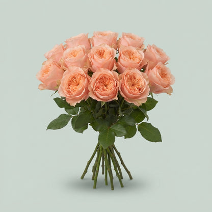 Rose - Charming Reeva