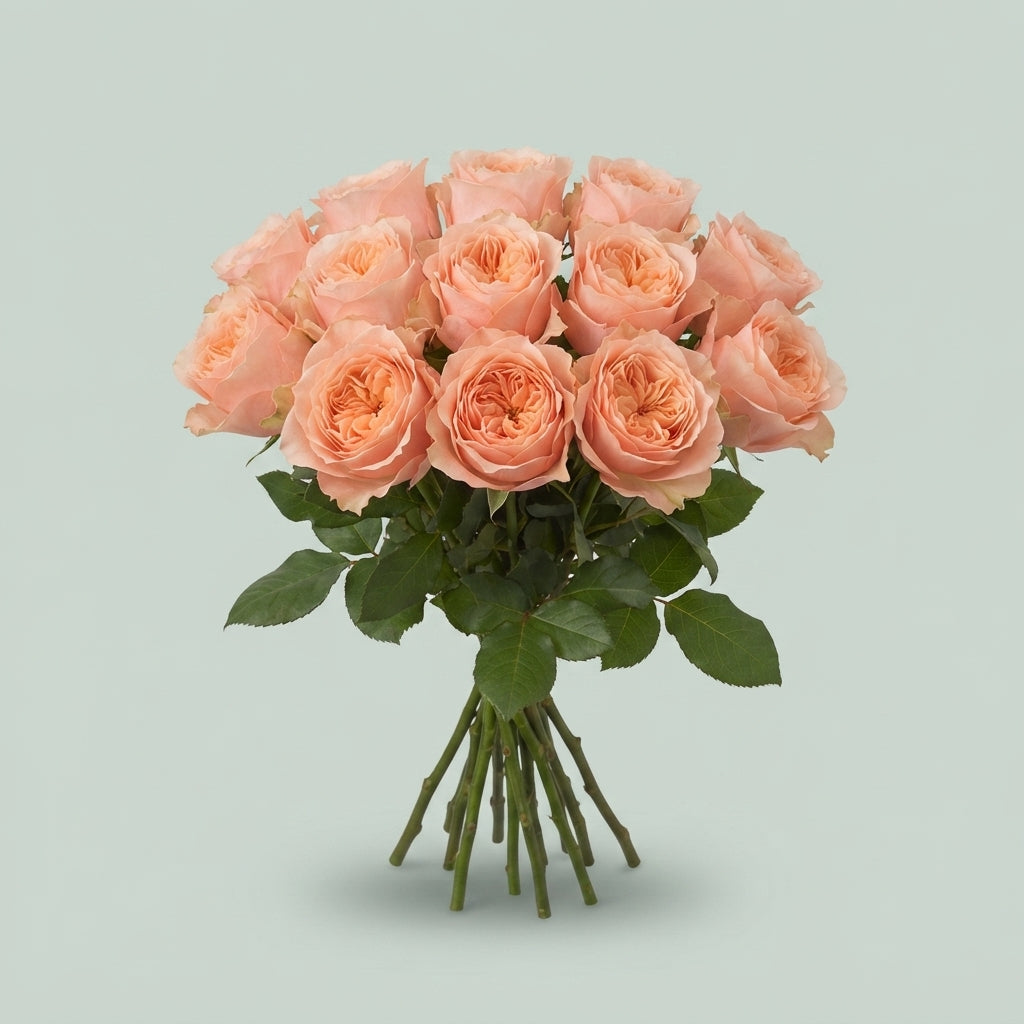 FeedSync:wholesale:5ceb9f23988325d35bf27b592524bfe72f16a20c