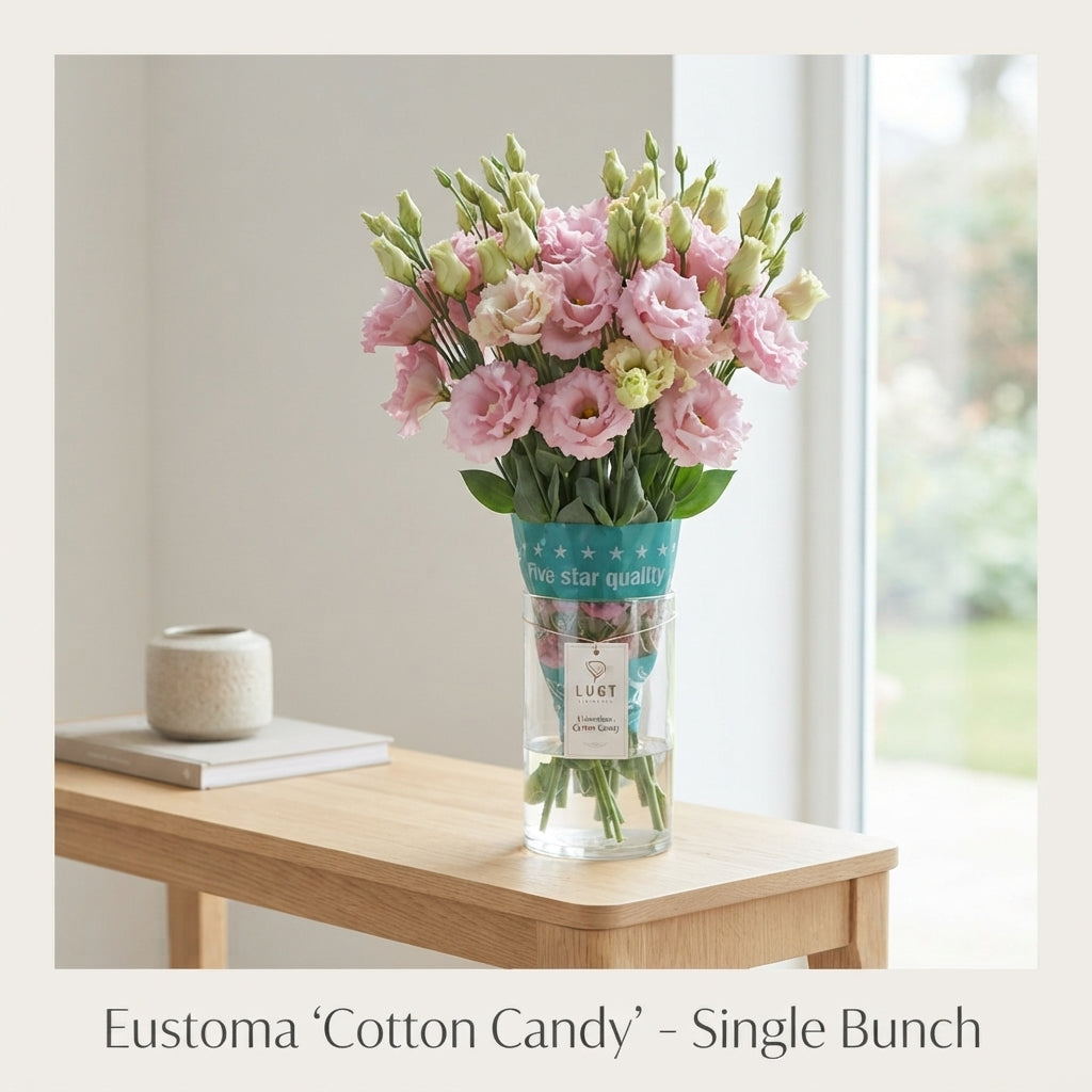 FeedSync:wholesale:0c4f4ccbb08370a120ecc18a45201dc98b7331a1