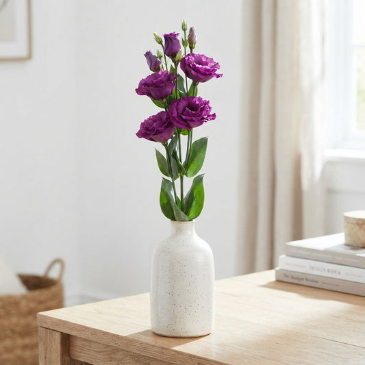Lisianthus (Eustoma) Alissa Mix