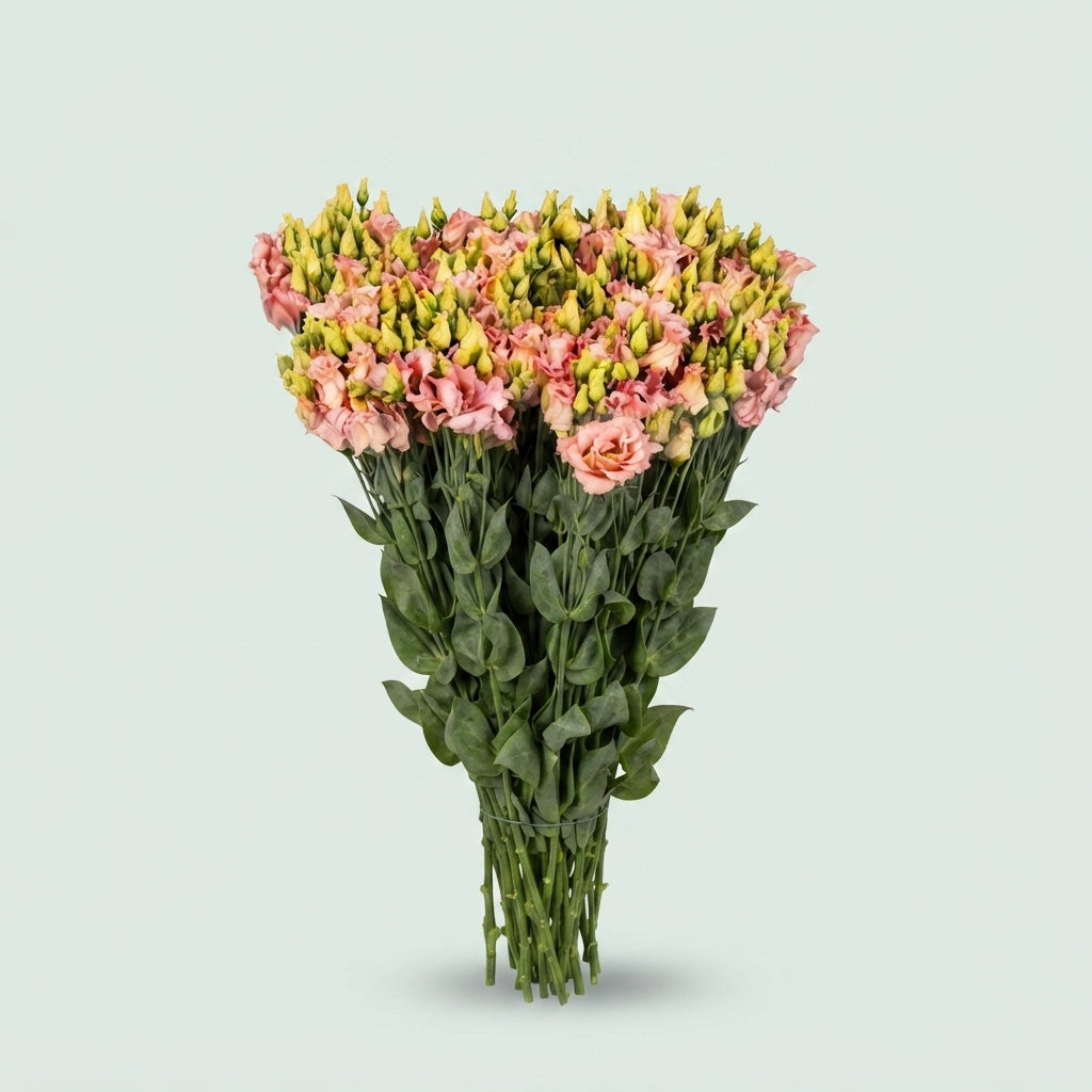FeedSync:wholesale:70b1747fc8b3773756317c190a874f8b6e9cf5b1