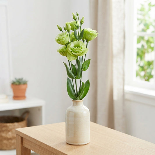 Green Lisianthus (Eustoma) – Wholesalers Choice