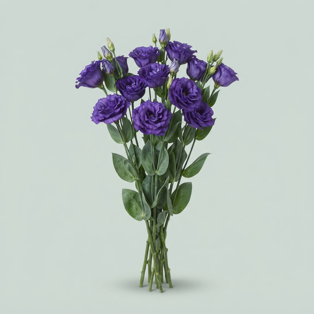 Lisianthus Blue Wholesalers Choice