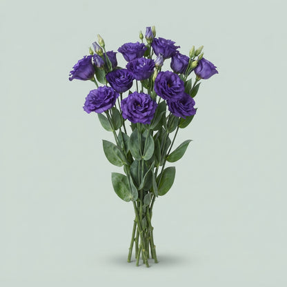 Lisianthus Blue Wholesalers Choice