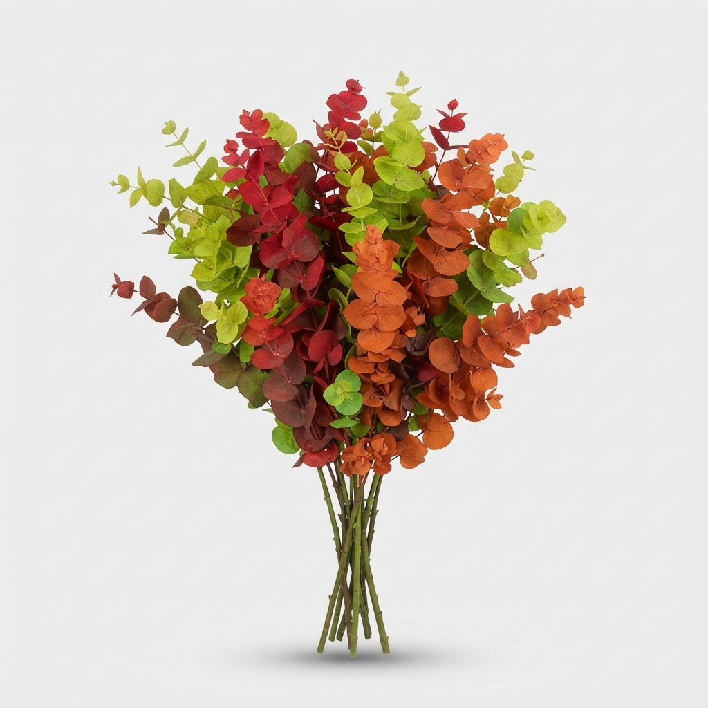 FeedSync:wholesale:db2dd9564589e1c69a009c6ce67814d026d9b3f2