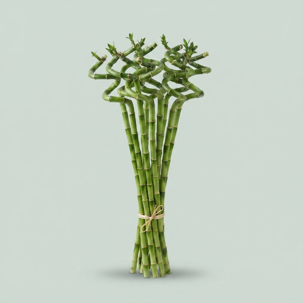 FeedSync:wholesale:f26ef92eb7482d29a905a6a1e969b0c48f23b852