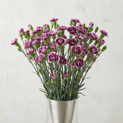 FeedSync:wholesale:6b76c73c04ce247ef85d7cda2802708c1b3657ca