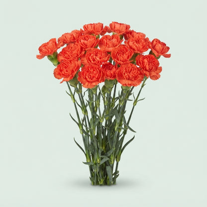 FeedSync:wholesale:a20ebb8f9d9aaba08b307ec0ecd39ac8b73027d6