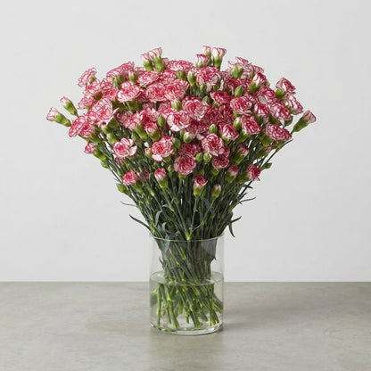 FeedSync:wholesale:e20e73902fd00216936d4c10e09aaa7096ceffd4