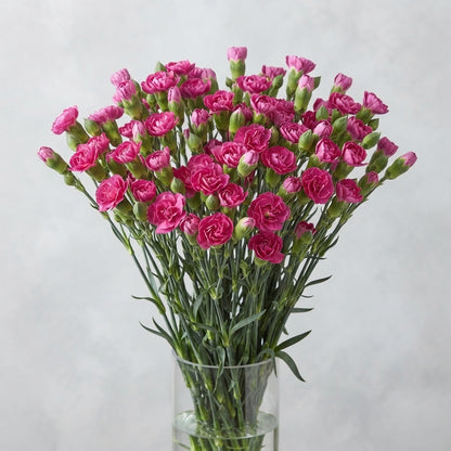 FeedSync:wholesale:2322e6255f4224fba8d0b7a378889d1e5281b71e