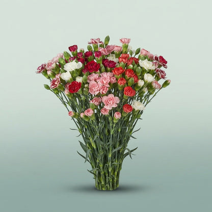 FeedSync:wholesale:e2446a8470d2d0909bb8747ee5f4273cb6e46564