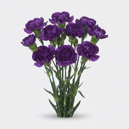 FeedSync:wholesale:a7c0d3d7179cd2501064a8fd3c8017ecd627d0fe