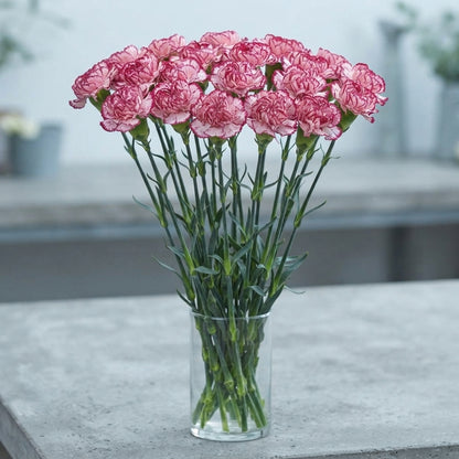 FeedSync:wholesale:ccd7a63436450bb5aaf37e12cc99200f6aaab266