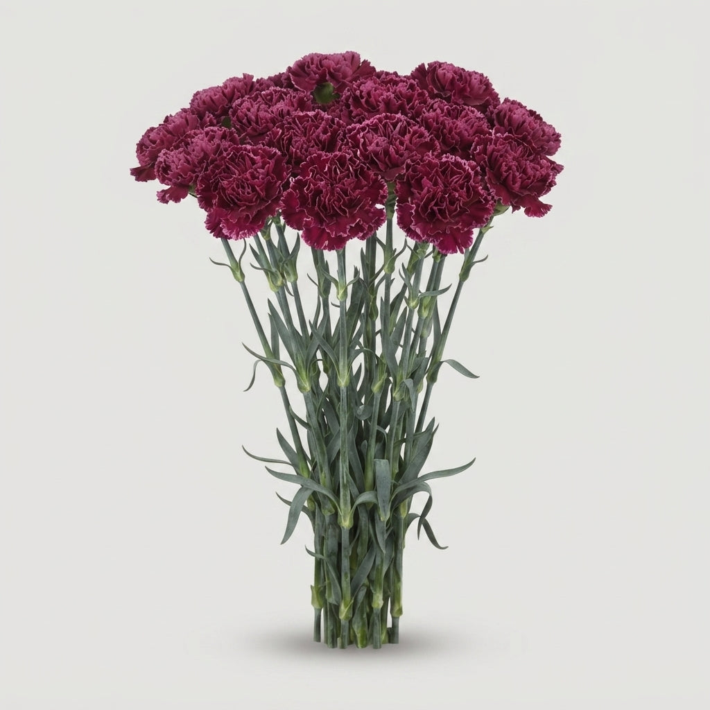 FeedSync:wholesale:866d1c2c10e407e7f36e7ccdcfb2cbf2d5210ca2