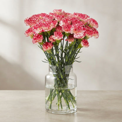 FeedSync:wholesale:5dd958e052825dc5e9056936171b09b95fed7deb