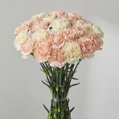 FeedSync:wholesale:11098276802591c306062f73311e3b2187596222