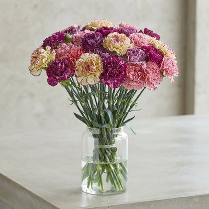 FeedSync:wholesale:01c8c2178b9513ac8bcc175d01d4ea7cebc465e4