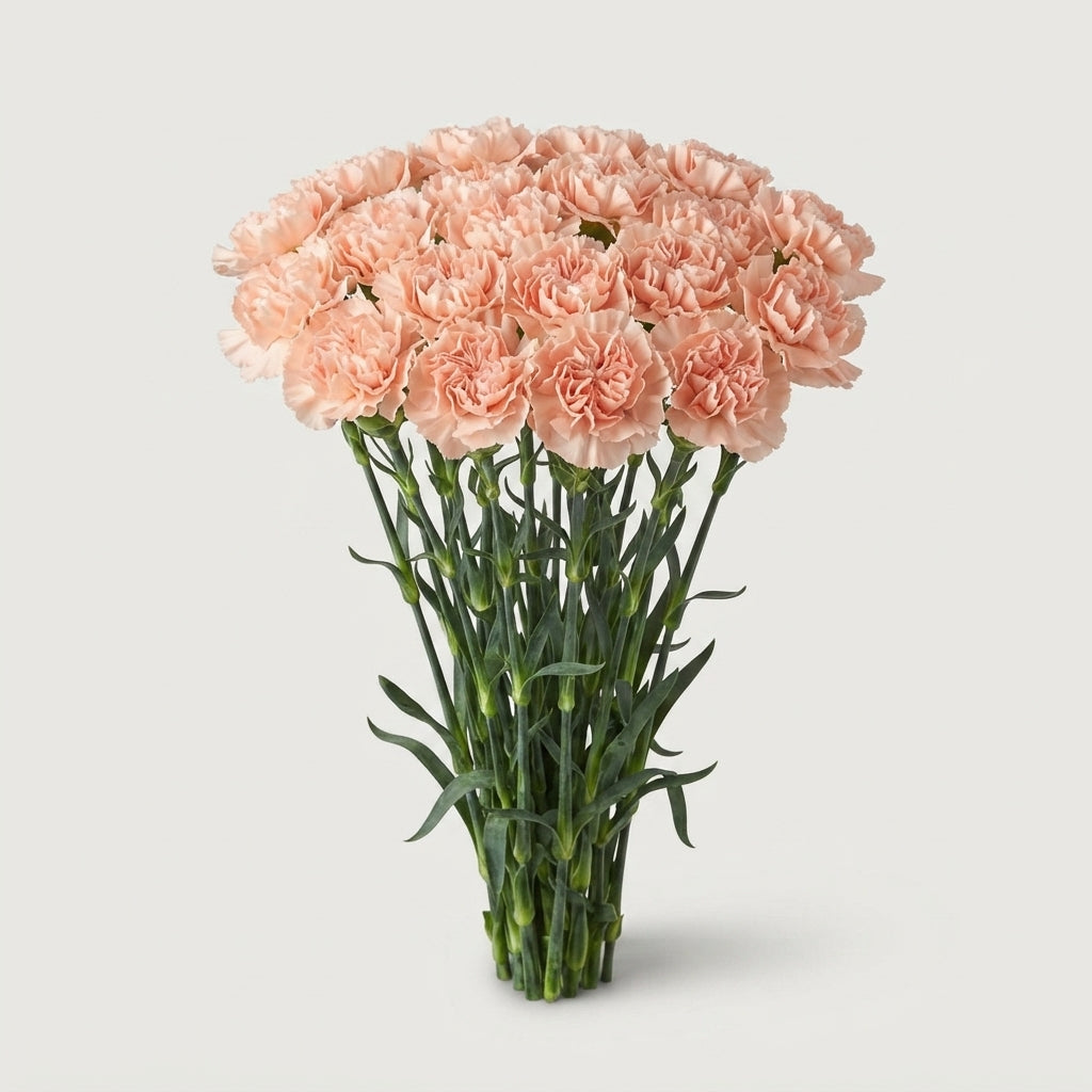 FeedSync:wholesale:e6758fd9220f2d14f7a76025edc9a8e238515cd7