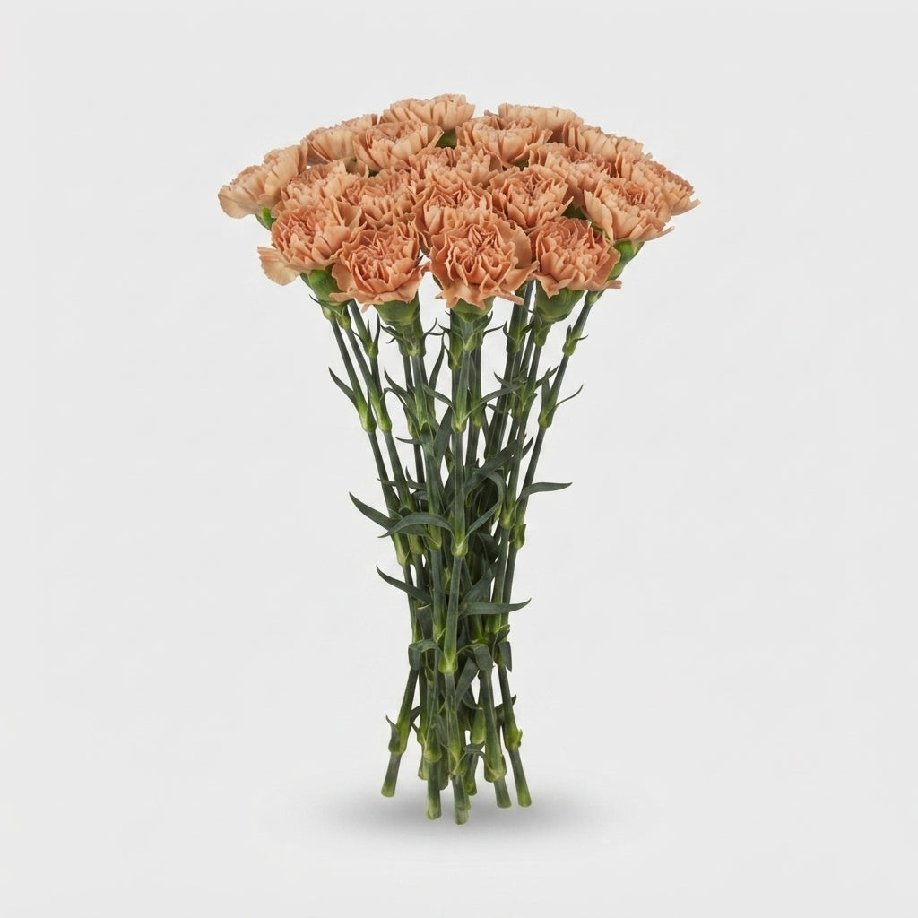 FeedSync:wholesale:3ef94922a1237df33e533a3b153f86d496827e60