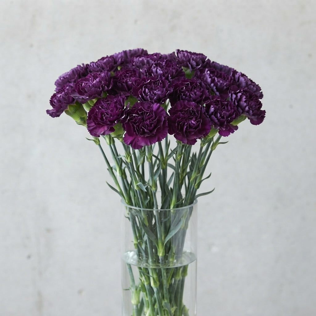 FeedSync:wholesale:0d716086cccda8694e0d9ec1fe259209eae1a50d