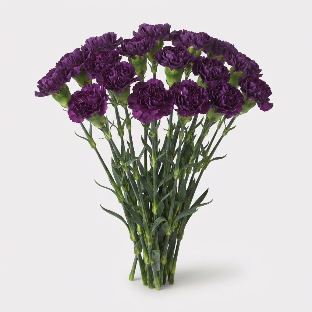 FeedSync:wholesale:2d6b997ccb6570899d887cc0ca1670899cc1ad9f