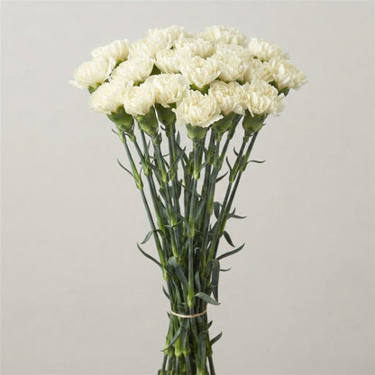 FeedSync:wholesale:ee6f1ae225a626da40ade83ad082bf1e015d3fb4