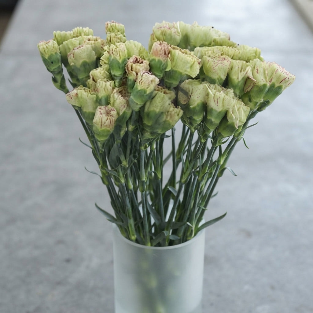 FeedSync:wholesale:ffec56d017cefa9936c15c8aef84eff10d3efd71