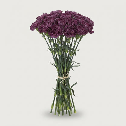 FeedSync:wholesale:bcb72ee5e856535a48a7d0439ce1cc5f34ae1733