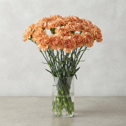 FeedSync:wholesale:534c21516ceb273f3e5a622550536b253aa5182a