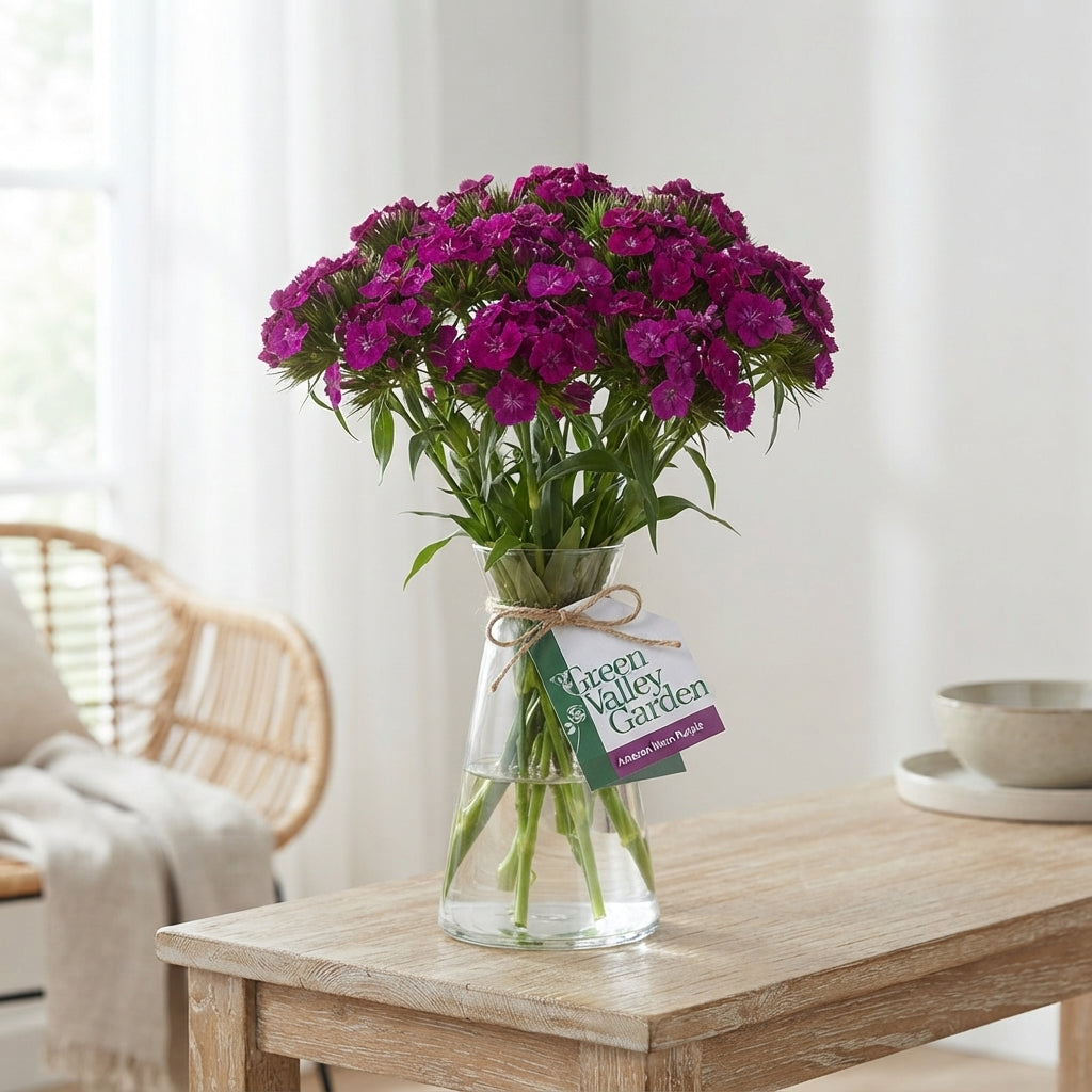 FeedSync:wholesale:d2c1aeb89d3b36e9395df25051710cc404381881