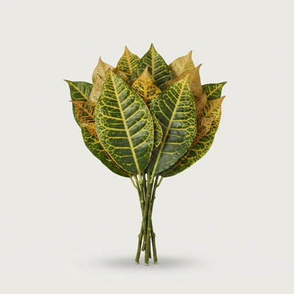 Croton Leaf Mix - Plastic