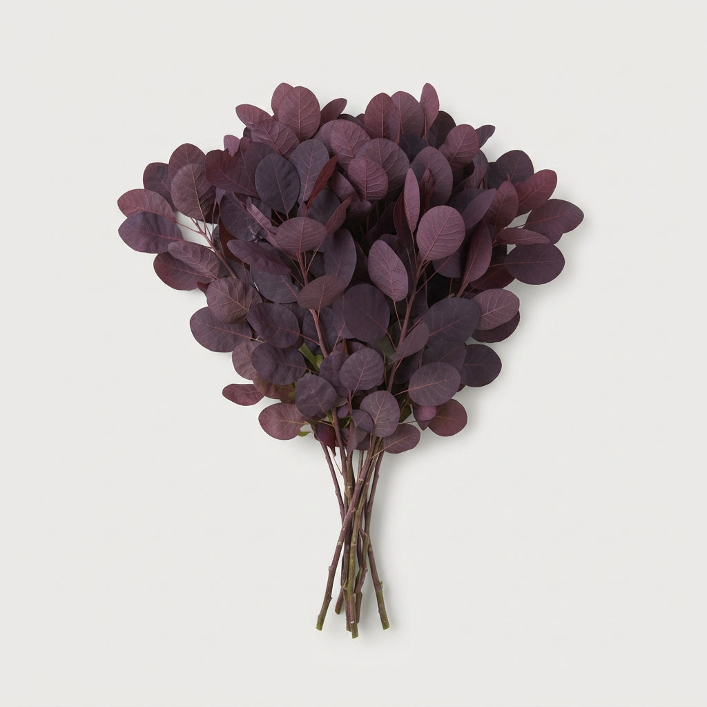 FeedSync:wholesale:7521913ede4f86c4155a2a717c176f8591793e85