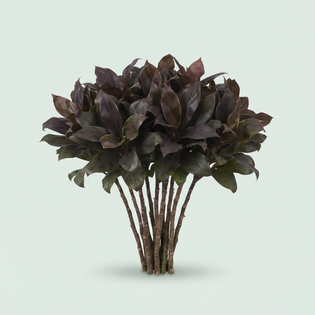 FeedSync:wholesale:bb56cad6eb31623ac84334adee5136508256cf99