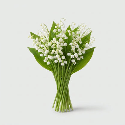 Dark Red Convallaria Bulb Flower Stems – 20cm