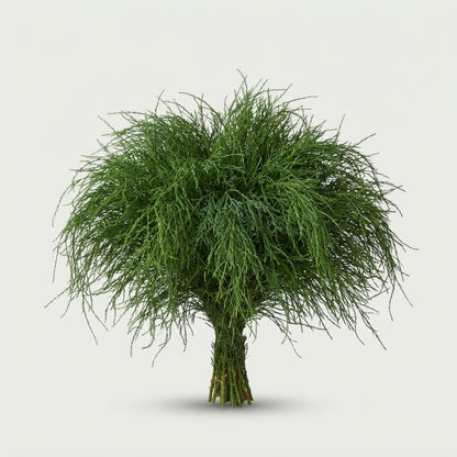 FeedSync:wholesale:7a8655af58fb1e87c99ba5271284d26a87607ae3