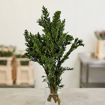 FeedSync:wholesale:10c2d4626fd6f3e6a9b002e4cc20366064dc7317