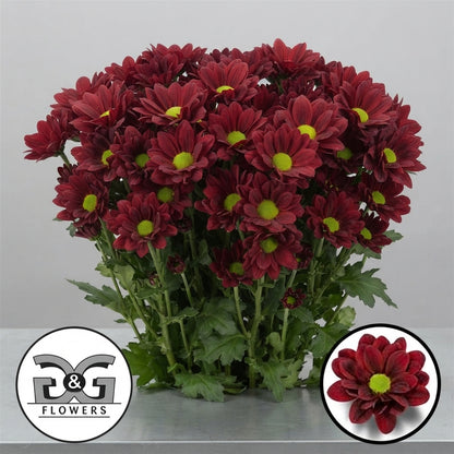 FeedSync:wholesale:70201edb6ab56d12d06f33e591f7a9eaf85d3545