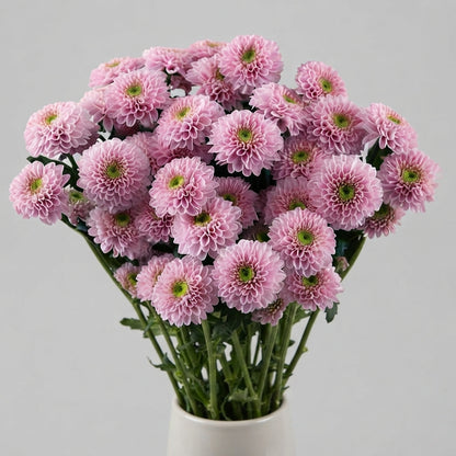FeedSync:wholesale:4b122a49475a475c5d5b030ae5b294abf10c5ea8