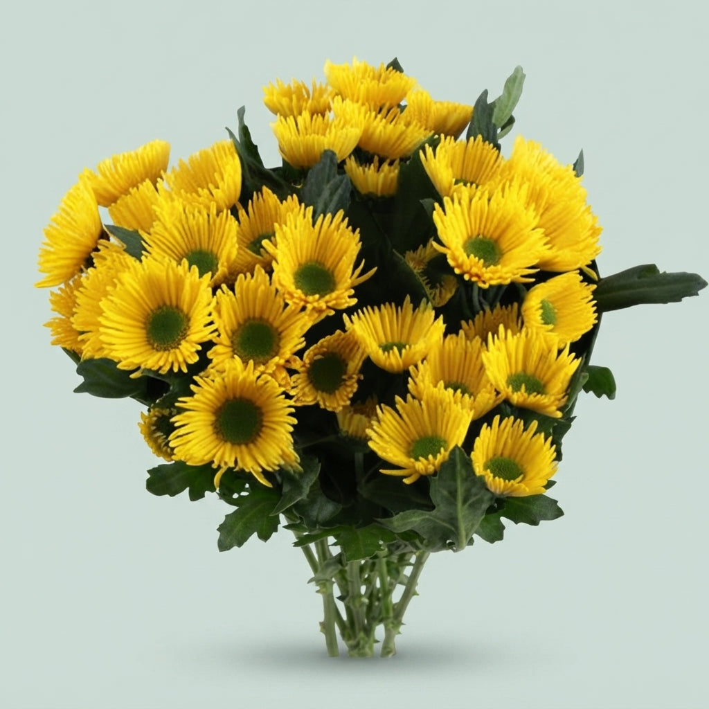 FeedSync:wholesale:5ea6c353094cfda5b3d0e55874c9071e8c257799
