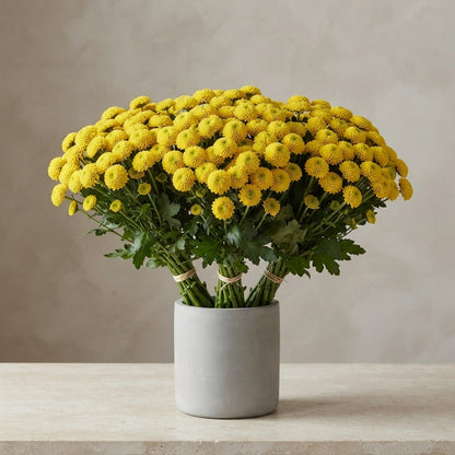FeedSync:wholesale:2bbd73ad346047793015b8a5b4c312cc8a7742eb