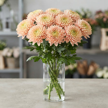 FeedSync:wholesale:e0d798ca267f9551c3178b55d4952c52af4a8a4b