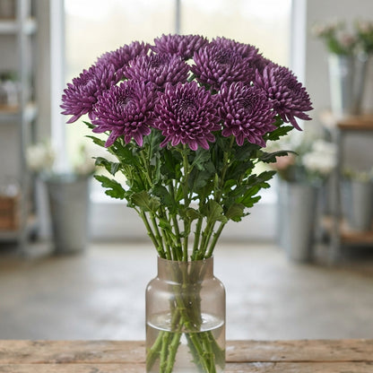 FeedSync:wholesale:47d948bc220705a411fa217a001611276317c606