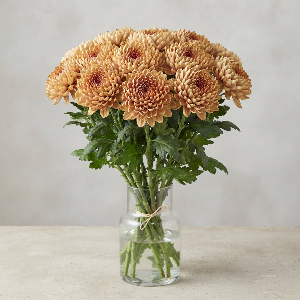 FeedSync:wholesale:e7b0d693408383b85ff3cb34a60cdaa43e445eaf