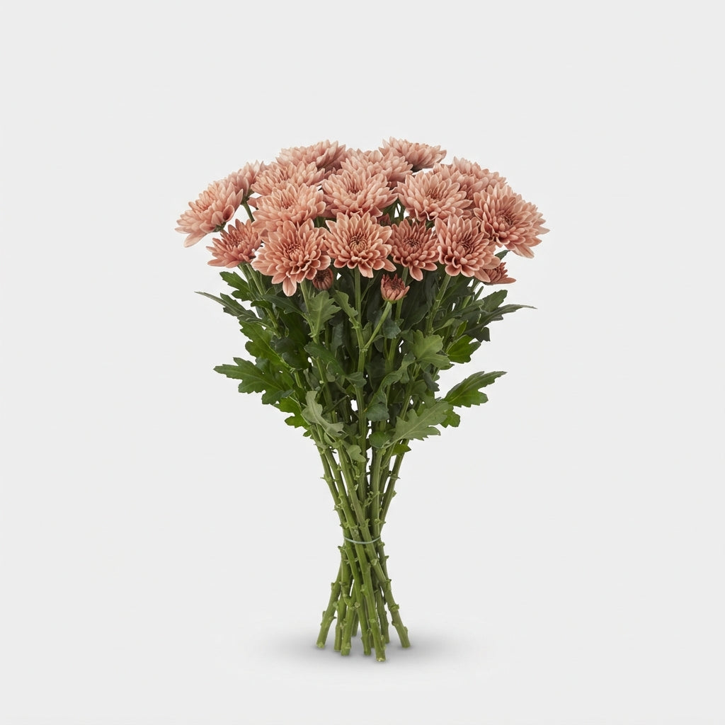 FeedSync:wholesale:da0add19408b36e727fecace642124337334f15d