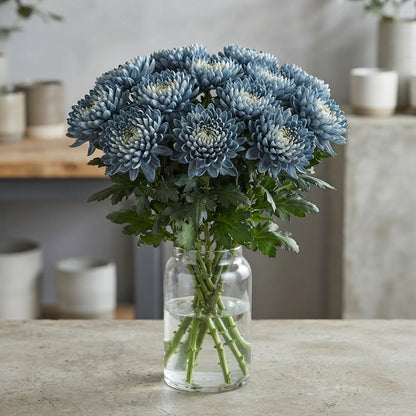 FeedSync:wholesale:1c8bd0ad9737d9413a434255f37c17edaaf18d71
