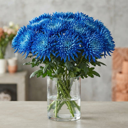 FeedSync:wholesale:859c6c5fe9d14dc31a3a5dbd39cc906d9ef76462