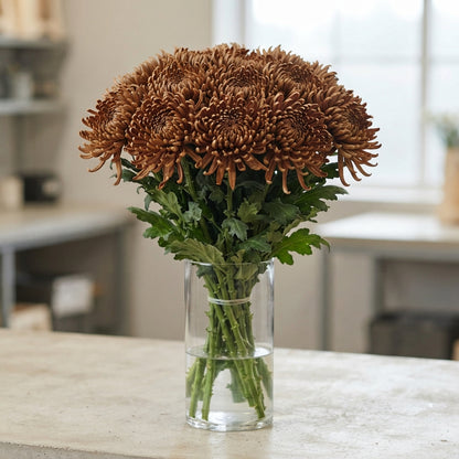 FeedSync:wholesale:359649ff13145b06972fc29d7024780bfe3c4f47