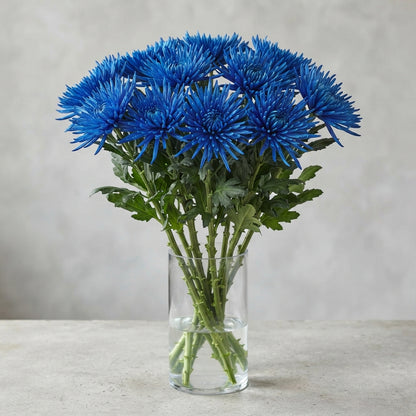FeedSync:wholesale:6f9904c664ddb16c10dfba918ff475823047d123