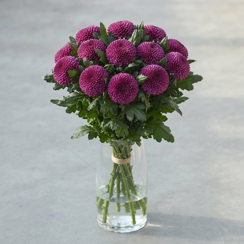 FeedSync:wholesale:dfb35932da10bc4ed9c7ccafa32cc11d47ae9c40